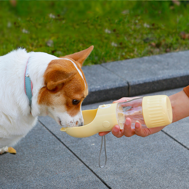 Traveling Out Portable Dog Water Dispenser
